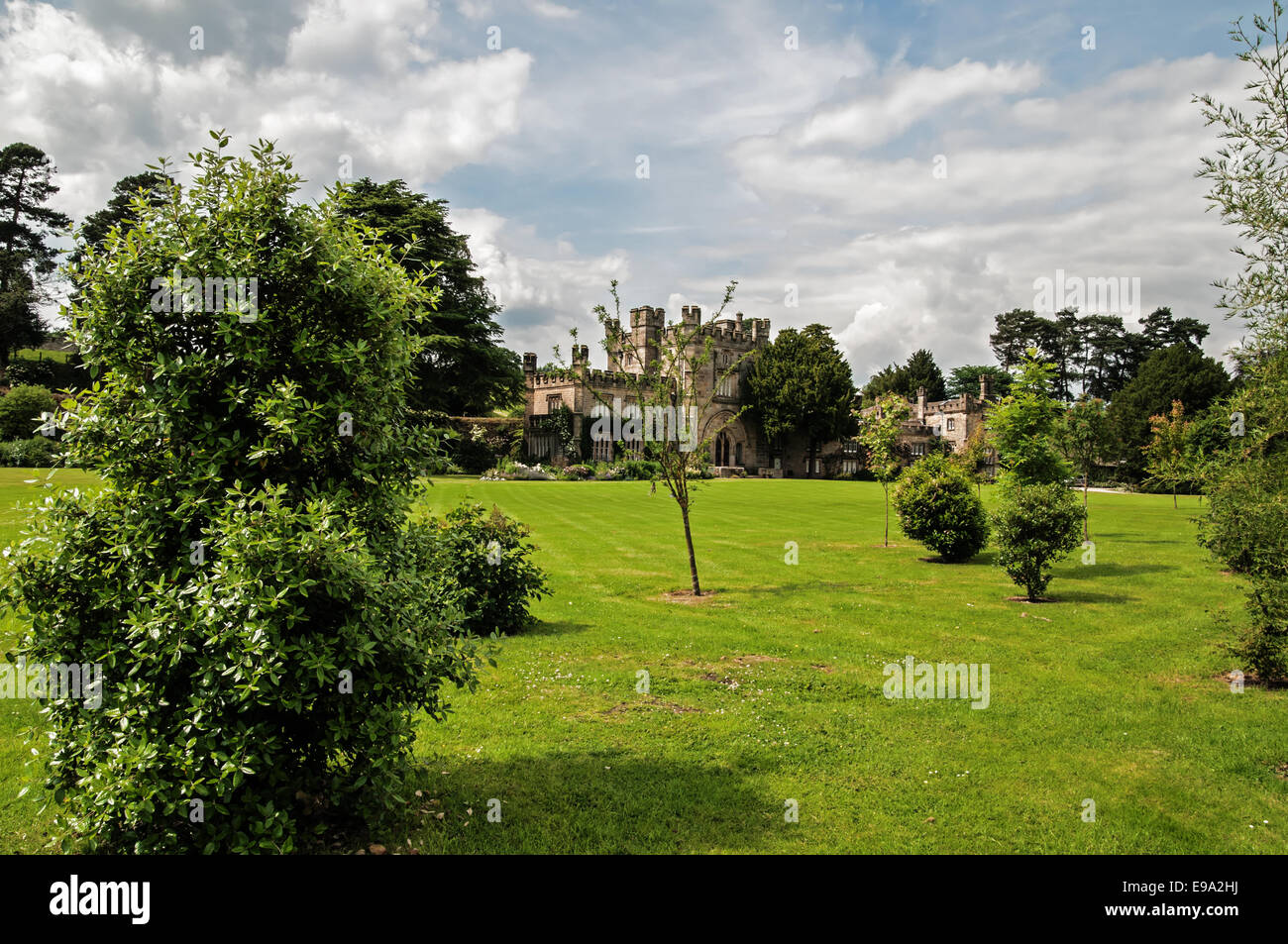 Des arbres sur la pelouse de Bolton Banque D'Images