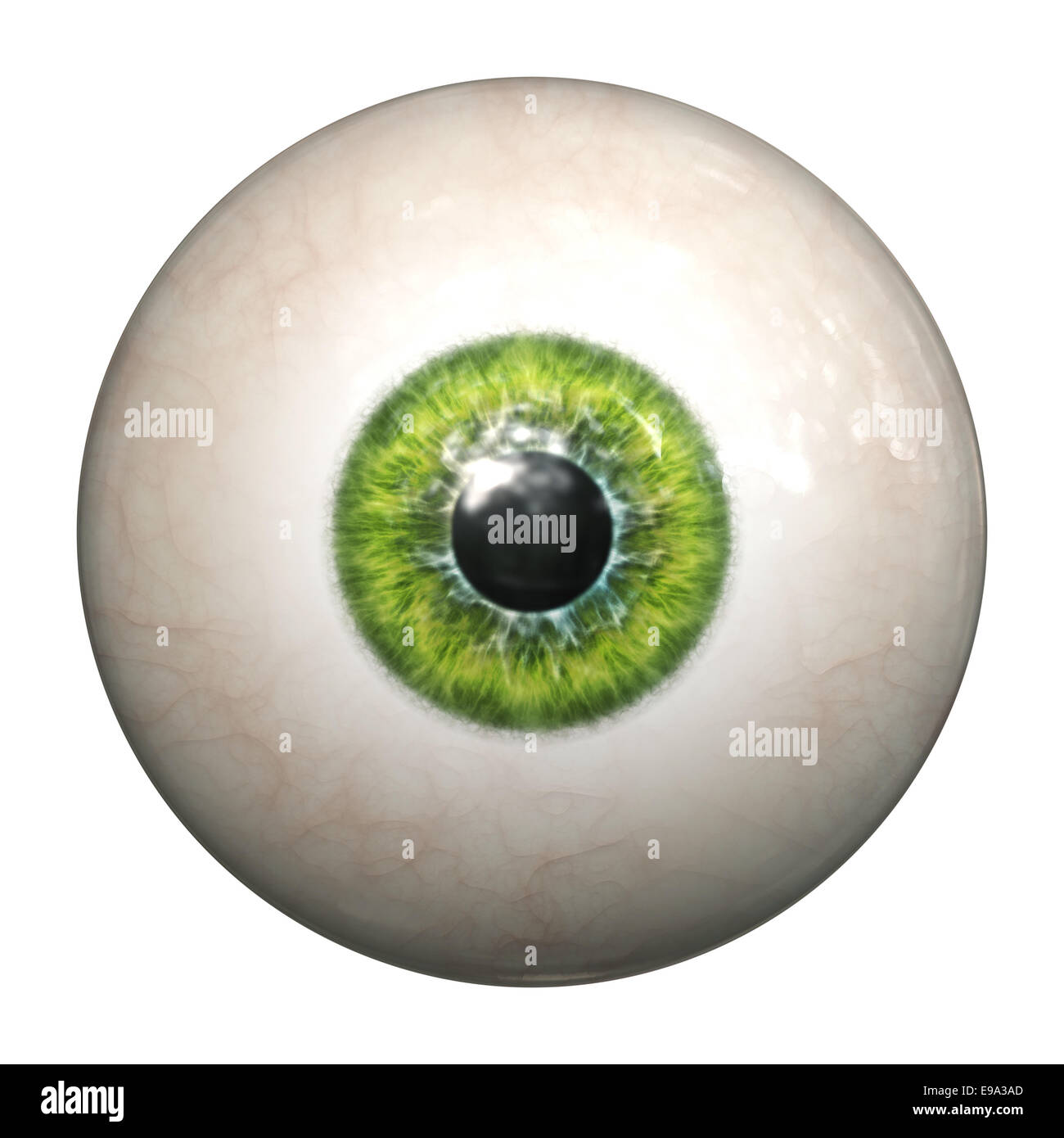 oeil vert Banque D'Images