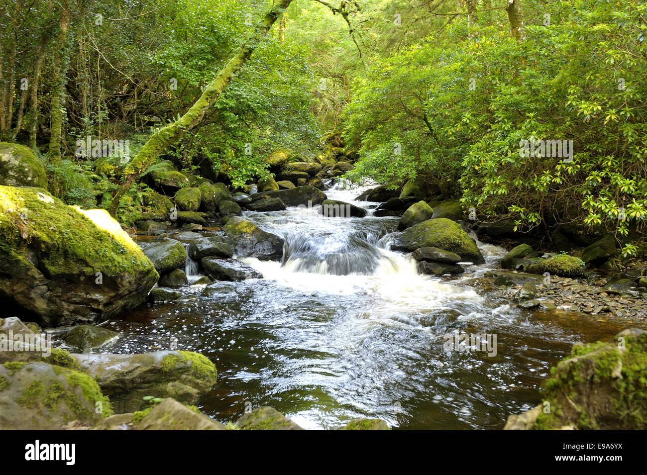 Torc Waterfall Banque D'Images