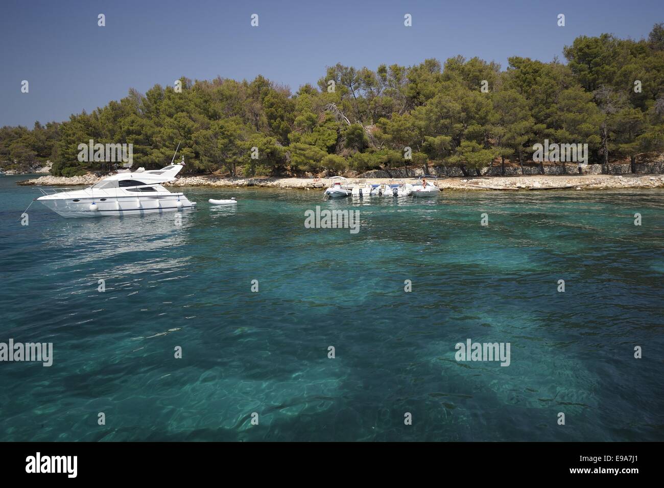 Croate de la mer Banque D'Images