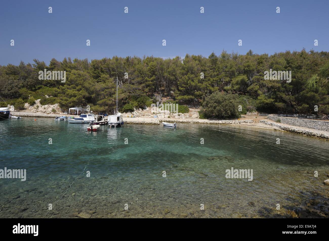 Croate de la mer Banque D'Images