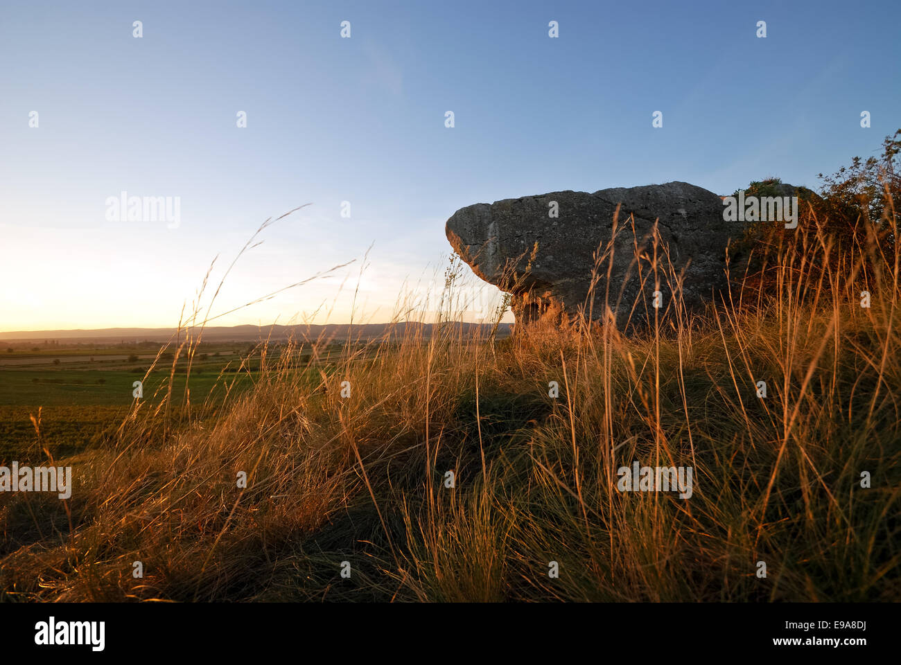 Rocher sur une colline avec une belle herbe Banque D'Images