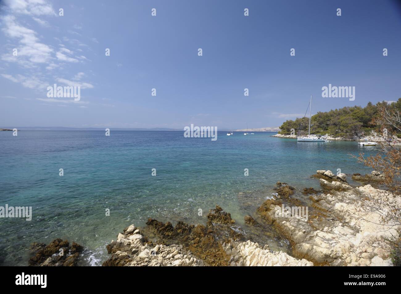 Croate de la mer Banque D'Images