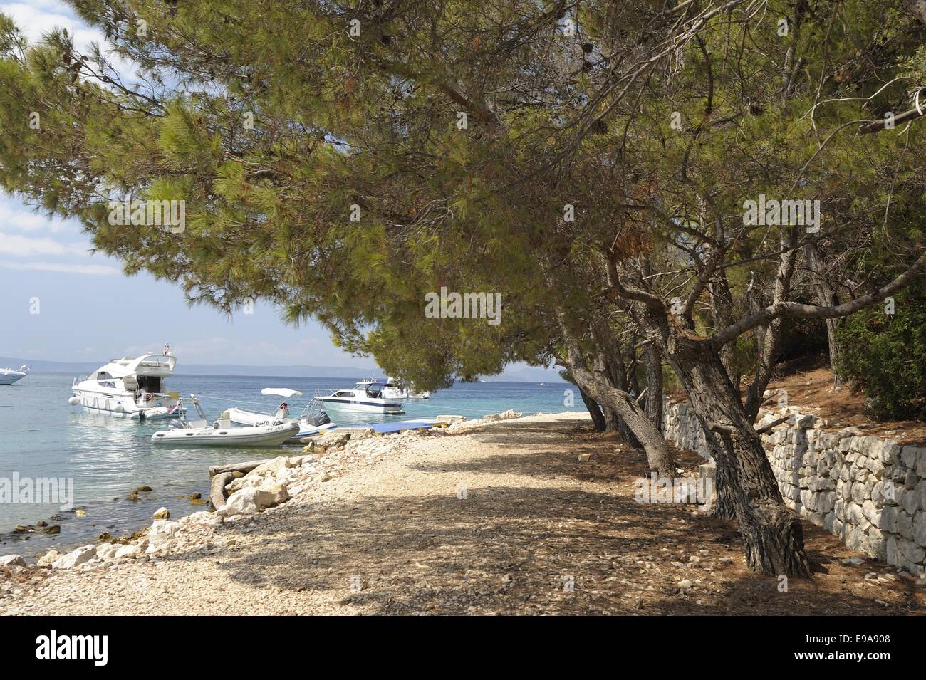 Croate de la mer Banque D'Images