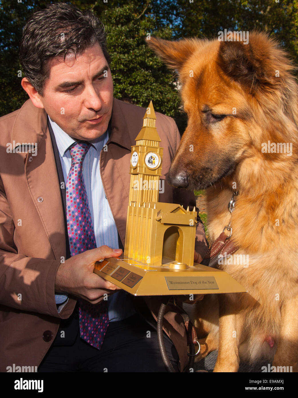 Londres, le 23 octobre 2014. Organisé par les chiens Trust et le Kennel Club, politiciens et leurs chats recueillir l'extérieur du Parlement pour la 22e Westminster Dog de l'année, destinées à mieux faire connaître le bien-être du chien au Royaume-Uni où les chiens Trust s'occupe de plus de 16 000 chiens errants et abandonnés chaque année. Photo : Rob et Diesel Gagnants Flello MP (Stoke-on-Trent au sud) examinent leurs Westminster Dog de l'année. Crédit : Paul Davey/Alamy Live News Banque D'Images