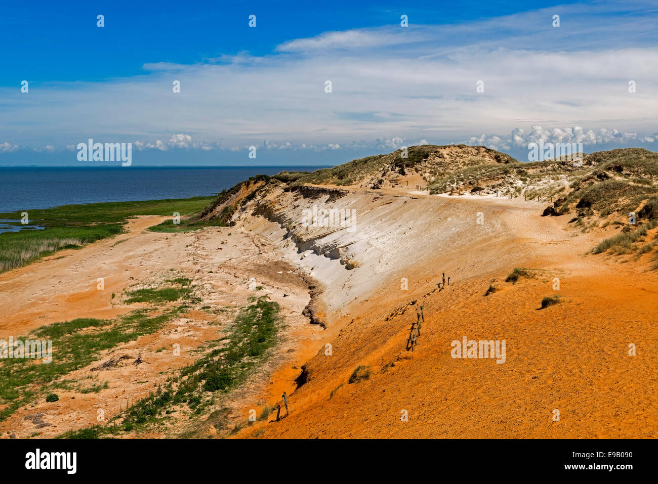 Morsum Cliff, près de Morsum, Sylt, Schleswig-Holstein, Allemagne Banque D'Images