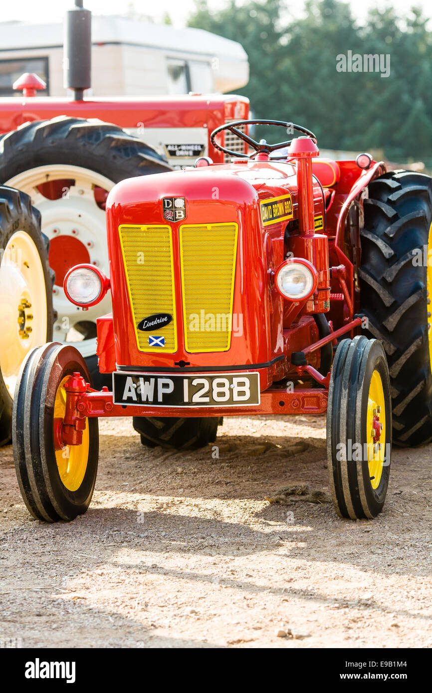 David Brown 880 selectmatic TRed tracteur Banque D'Images