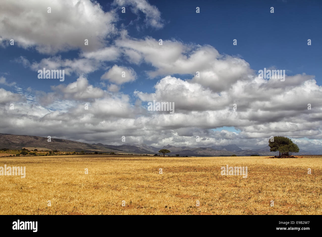 Paysage dans la région semi-désertique du Karoo, en Afrique du Sud. Banque D'Images