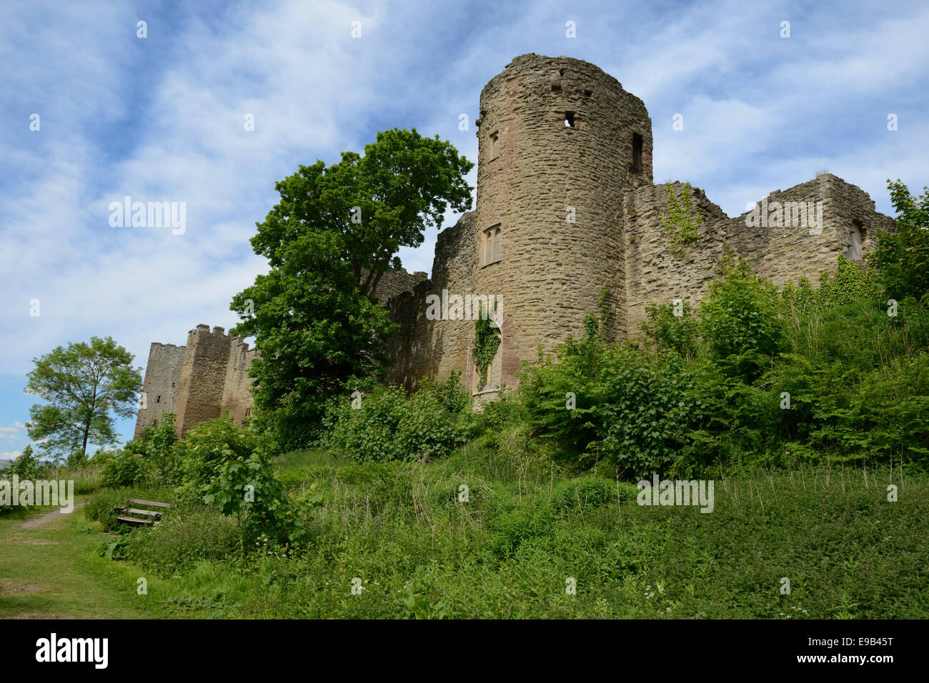 Ruines du 11e siècle, le château de Ludlow Ludlow, Shropshire, Angleterre, Royaume-Uni. L'Europe Banque D'Images