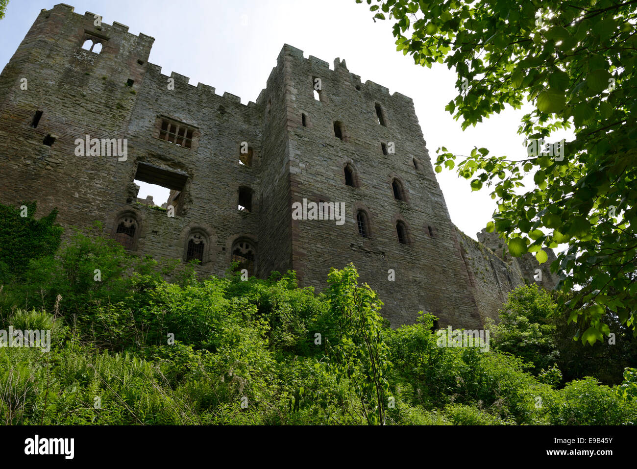 Ruines du 11e siècle, le château de Ludlow Ludlow, Shropshire, Angleterre, Royaume-Uni. L'Europe Banque D'Images
