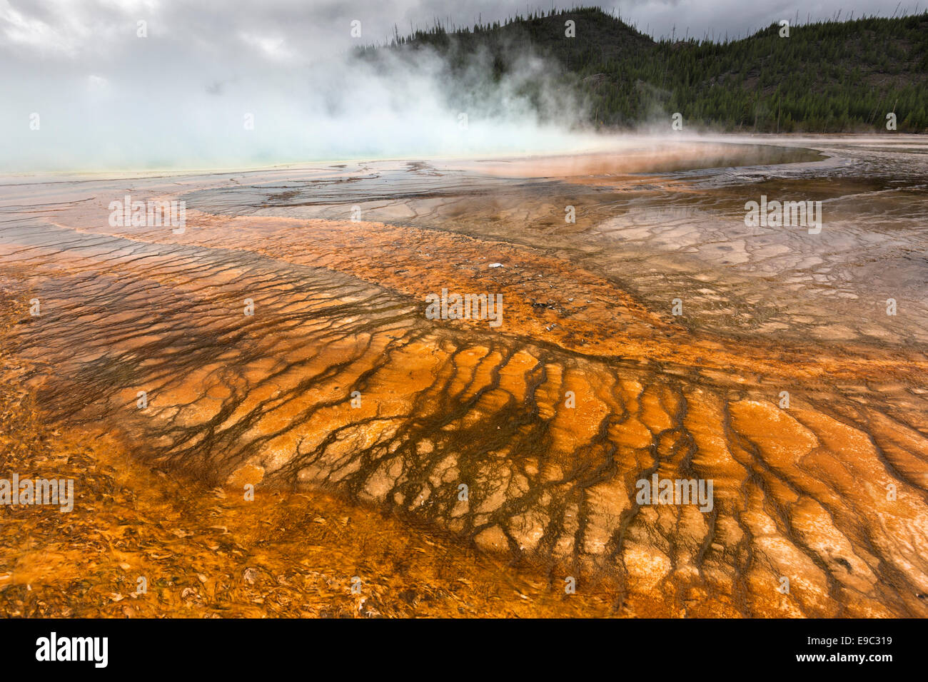 La Yellowstone Grand Prismatic Spring Banque D'Images