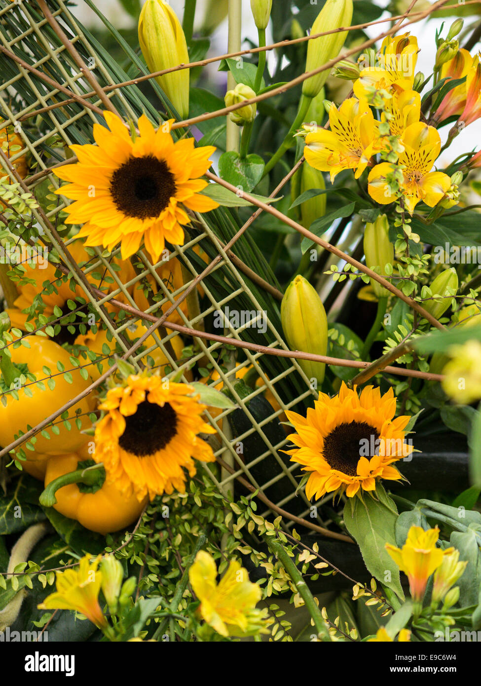 Droit d'affichage composé de tournesol, les poivrons jaunes, entouré de feuillage et fleurs. variétale Banque D'Images