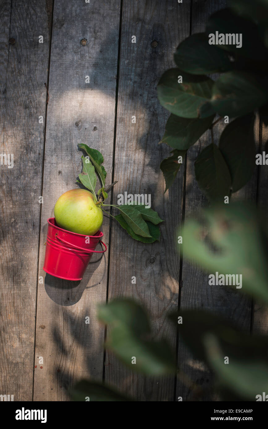 Apple sur un parquet en bois et de l'apple tree branch Banque D'Images