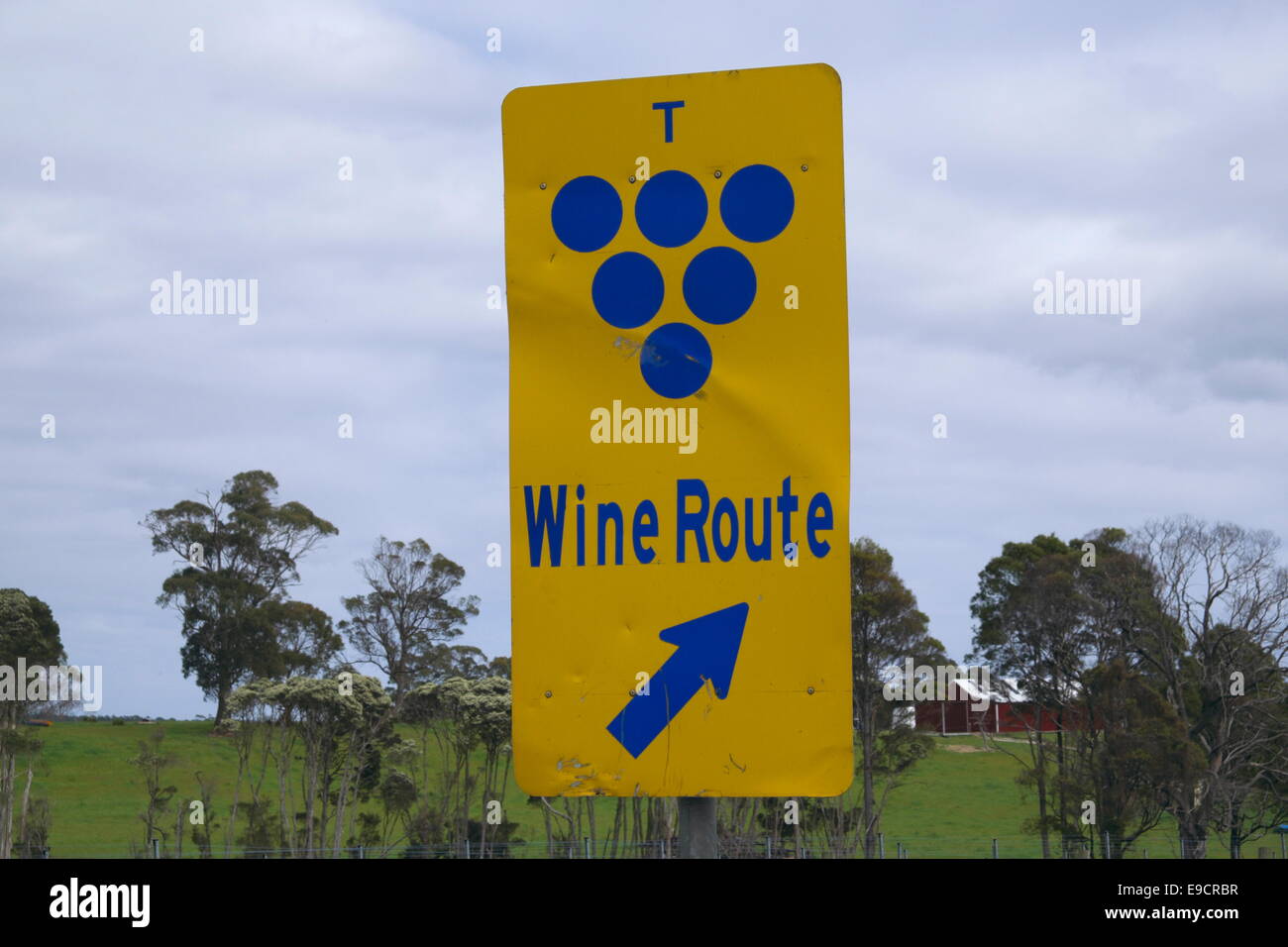 Inscrivez-vous pour la route des vins de Tasmanie à vélo à travers le vignoble, au nord-est de Launceston, Australie Banque D'Images