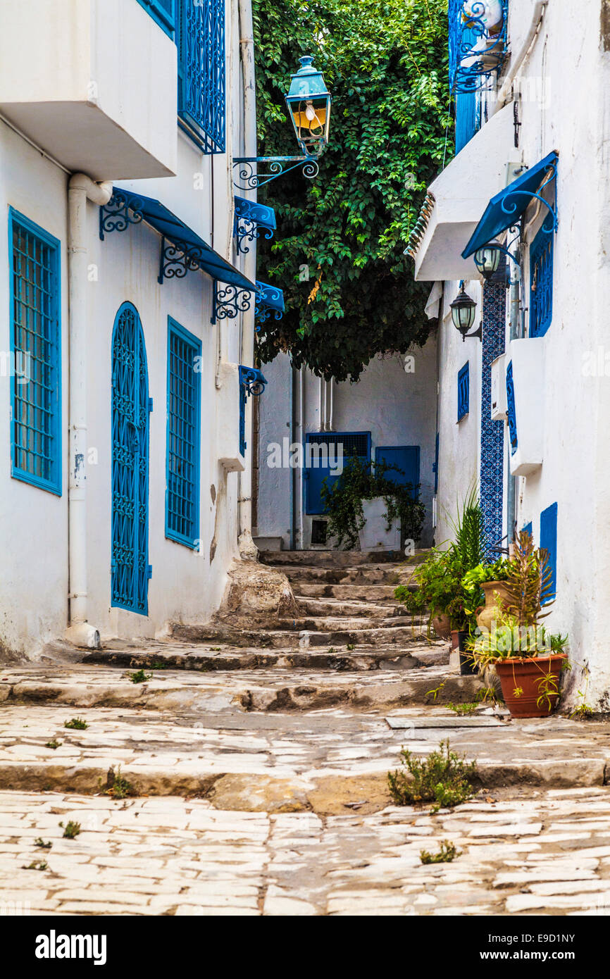 Raide, étroit, ruelle pavée à Sidi Bou Said, Tunisie. Banque D'Images