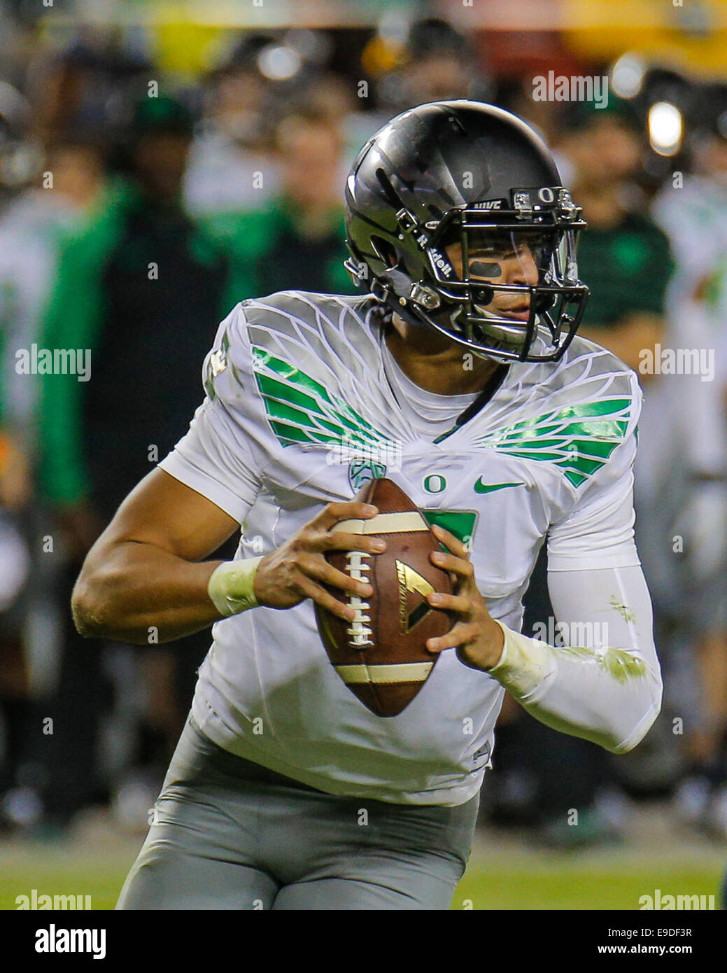 24 octobre 2014 Santa Clara, CA : Oregon QB #  8 Marcus Mariota sur un rouleau à col regarder vers le bas domaine de décoller et d'exécuter d'un firstdown pendant NCAA Football match entre l'Oregon et Californie Golden Bears Canards 59 - 41 victoire à Santa Clara en Californie Stade Levi Banque D'Images