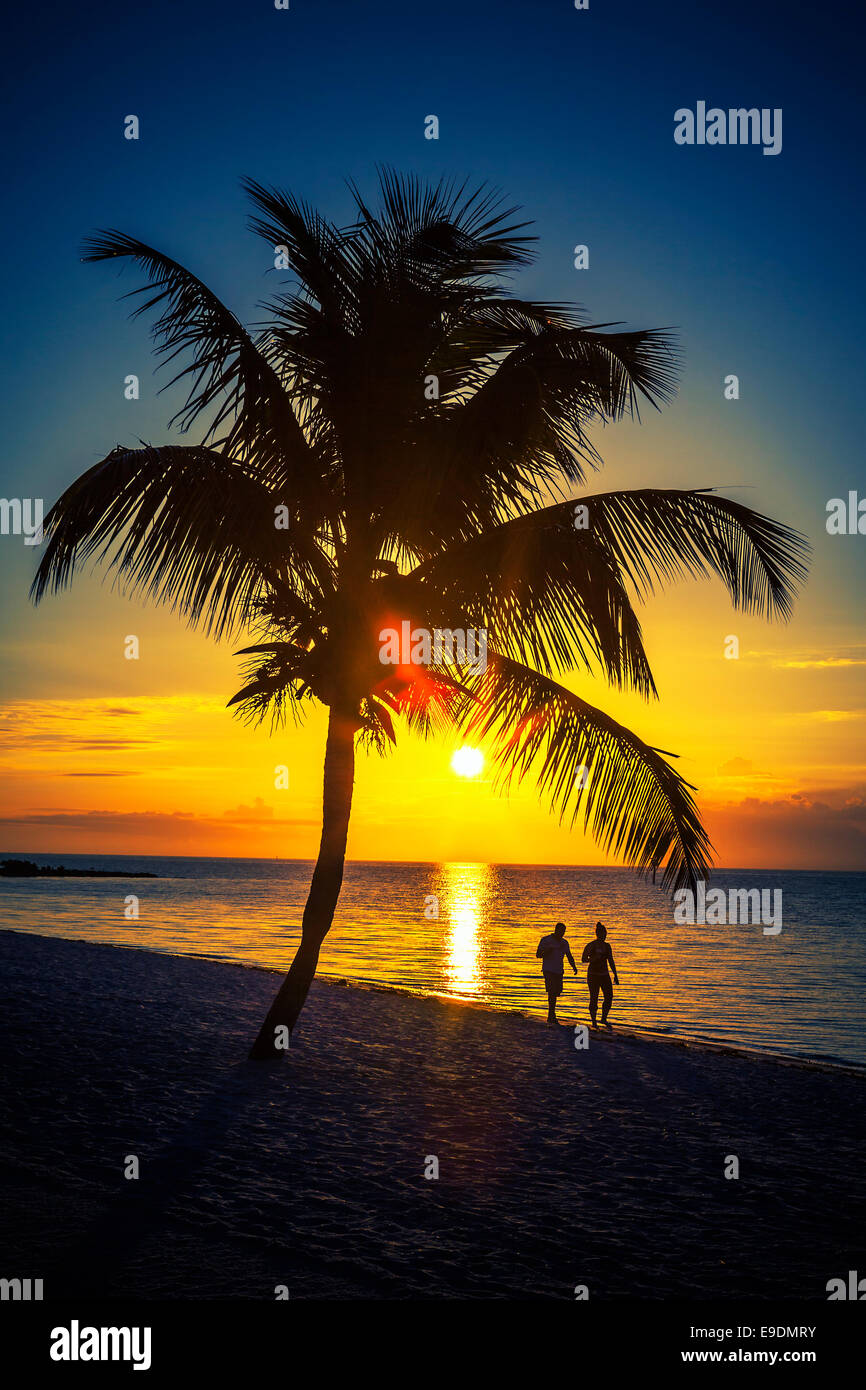 Avis de palmier et amoureux sur une plage au coucher du soleil, Key West, États-Unis Banque D'Images