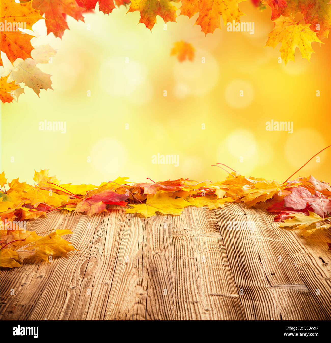 Concept d'automne vide avec planches en bois et les feuilles qui tombent Banque D'Images