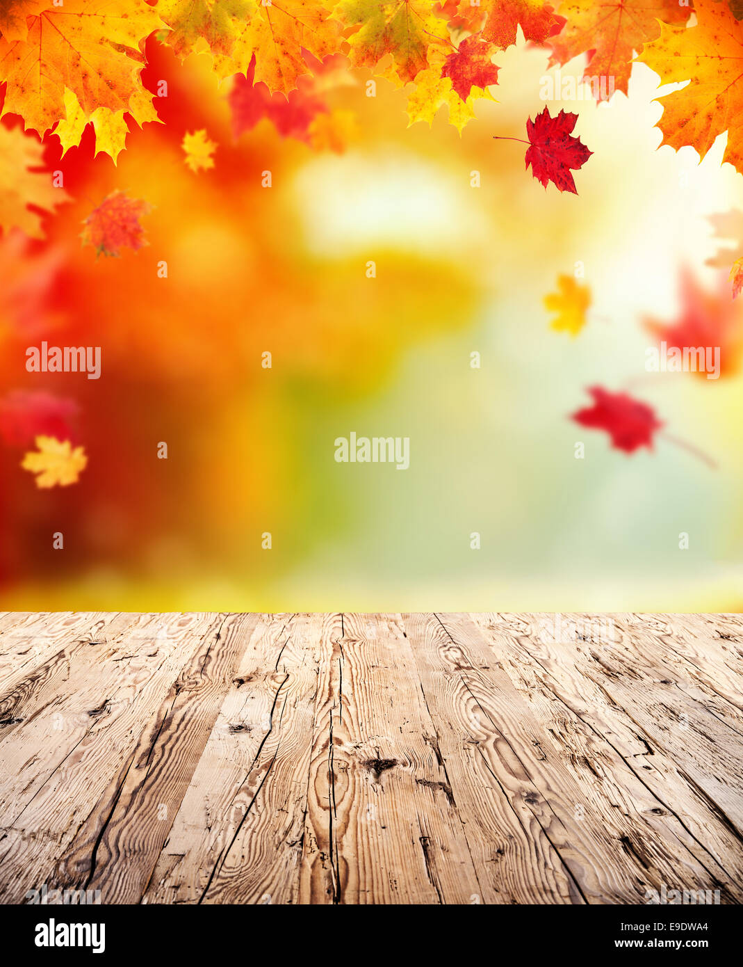 Concept d'automne vide avec planches en bois et les feuilles qui tombent Banque D'Images