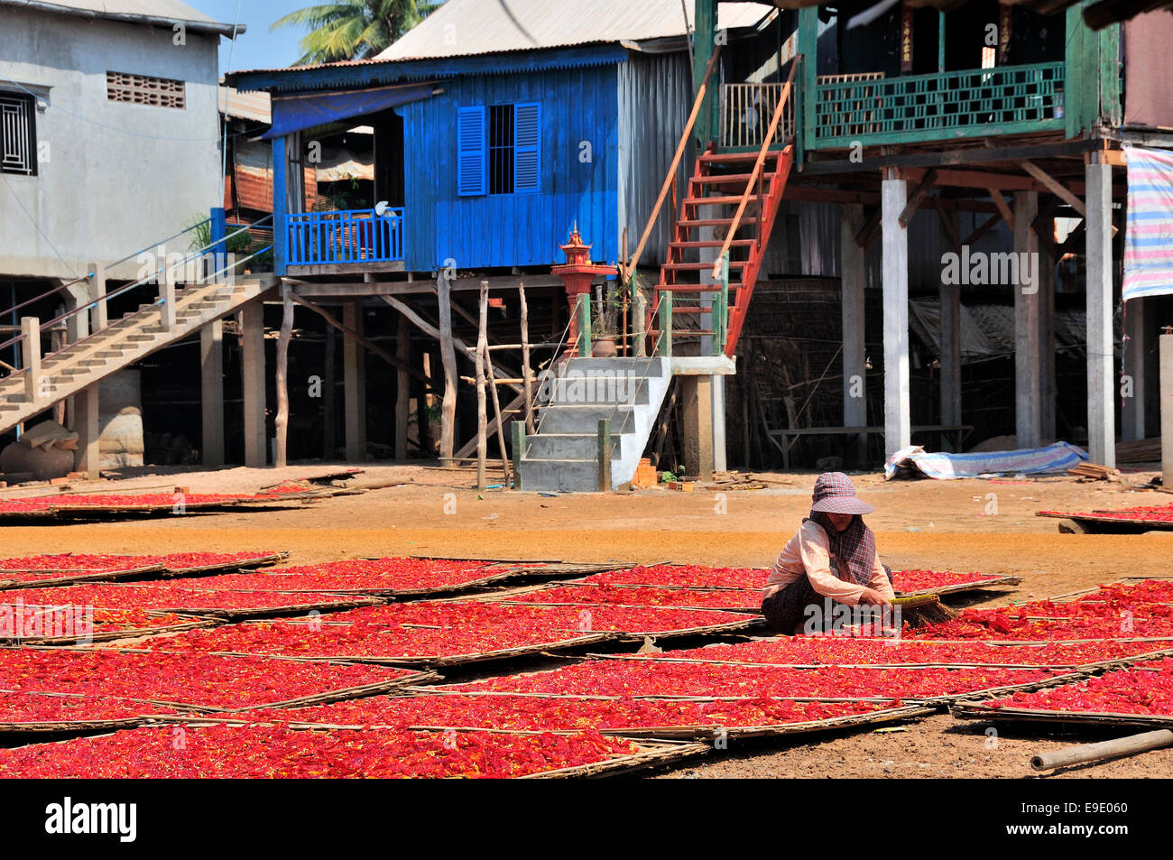 Chili Peppers sur des nattes de bambou séchant au soleil par des maisons sur pilotis dans Hampong Krong Chhnang, au Cambodge, en Asie du sud-est Banque D'Images