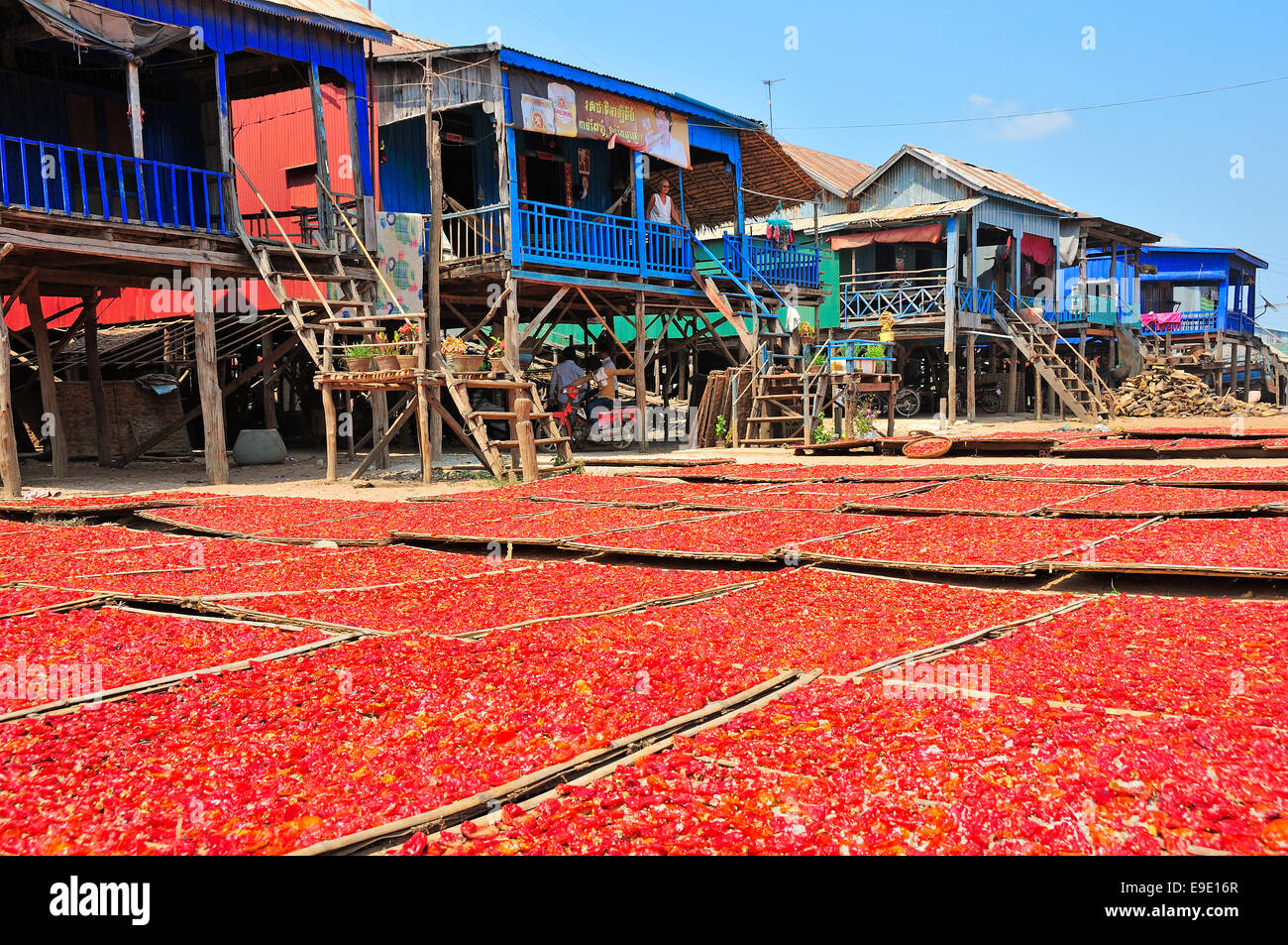 Des piments séchant au soleil sur des nattes de bambou à l'extérieur des maisons sur pilotis, Krong Kampong Chhnang, près de la rivière Tonle Sap, au Cambodge, en Asie du sud-est Banque D'Images