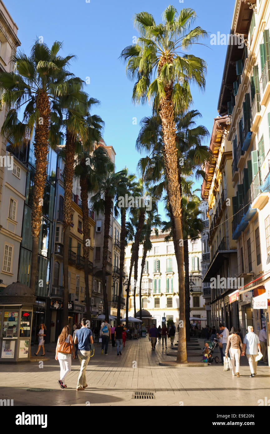 Rue bordée de palmiers Puerto del Mar à Malaga centre. Malaga, Espagne du Sud. Banque D'Images