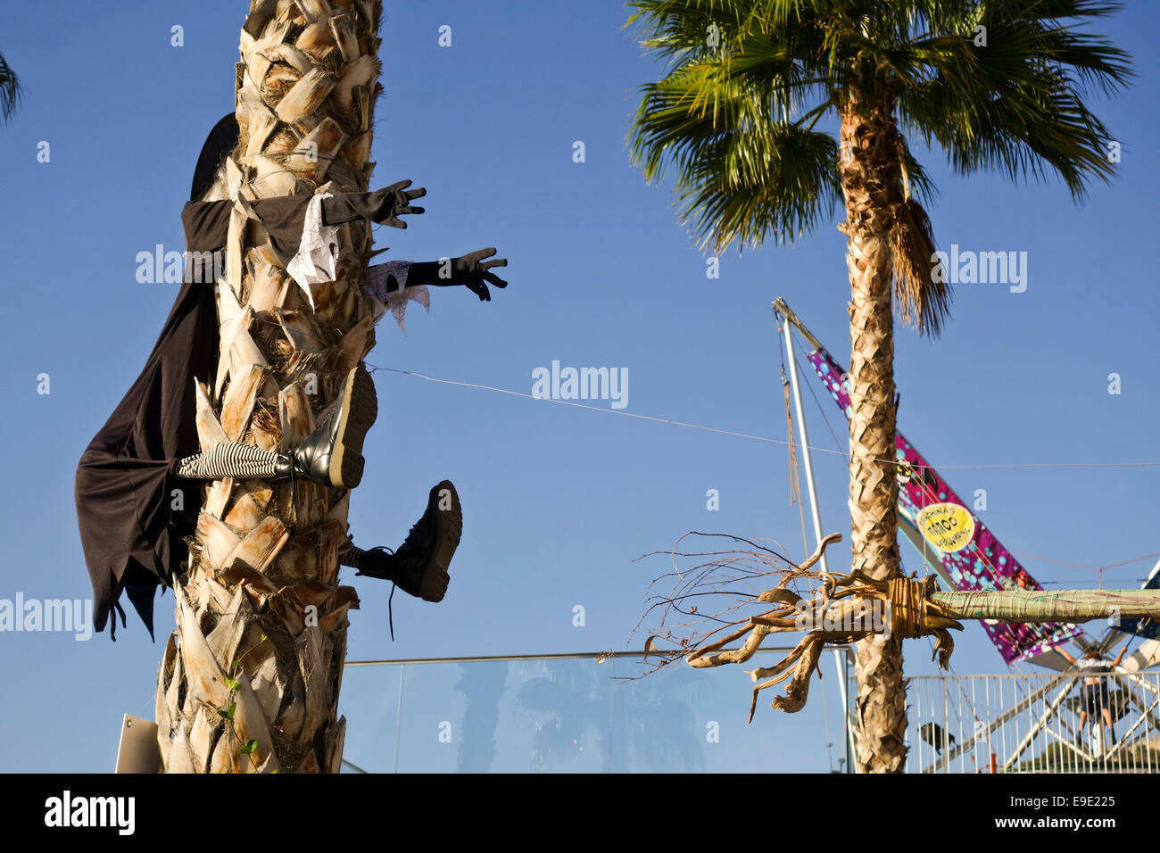 Sorcière Halloween plantage Palm Tree Hugger Yard Prop à port de Malaga, Adalusia, Espagne. Banque D'Images