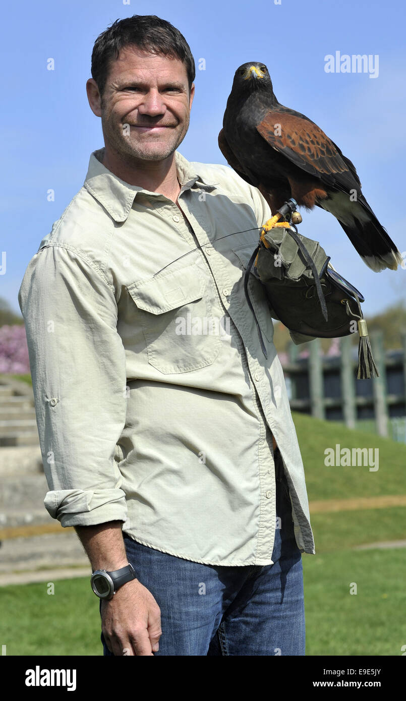 Steve Backshall TV présentateur de la faune encourage ses "Assassins' show aérien mortel avec l'aide d'un Faucon Lanier, le Pygargue à tête blanche et l' 'Tulsa Harris Hawk à ZSL zoo de Whipsnade, Bedfordshire avec : Steve Backshall Où : London, Royaume-Uni Quand : 23 Avr 2014 Banque D'Images