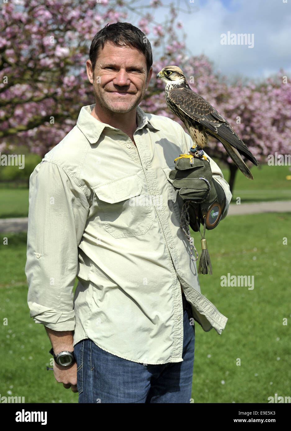 Steve Backshall TV présentateur de la faune encourage ses "Assassins' show aérien mortel avec l'aide d'un Faucon Lanier, le Pygargue à tête blanche et l' 'Tulsa Harris Hawk à ZSL zoo de Whipsnade, Bedfordshire avec : Steve Backshall Où : London, Royaume-Uni Quand : 23 Avr 2014 Banque D'Images