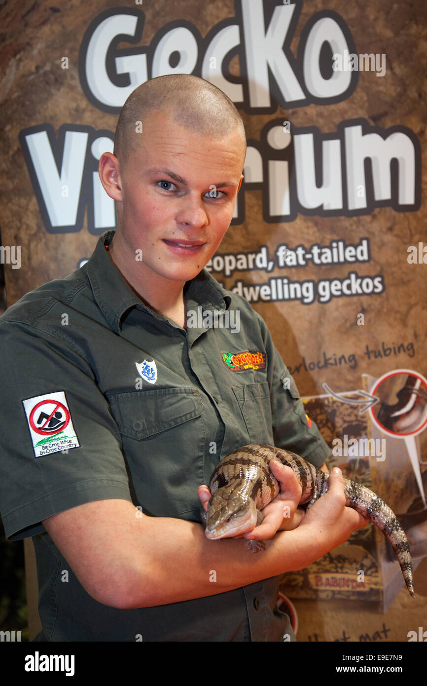 Man Holding Blue Tongued Skint reptile  Crocodile JNR Joe Lewis McQuade au Family PET Show qui a lieu à EventCity, le Trafford Centre Manchester est le deuxième plus grand espace d'exposition en dehors de Londres. Banque D'Images