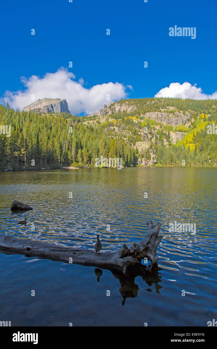 Lac de l'ours dans le Parc National des Montagnes Rocheuses au Colorado Banque D'Images