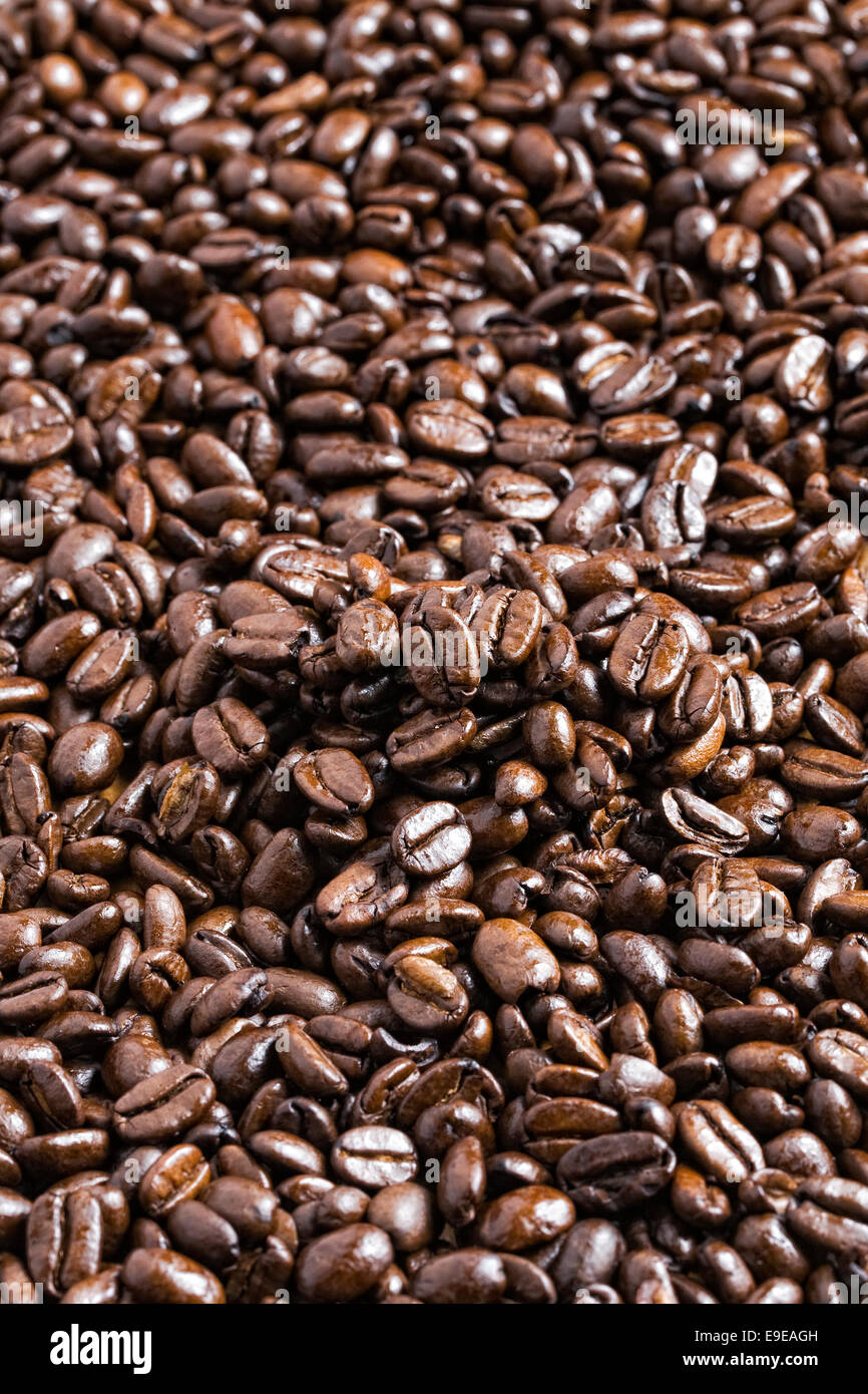 Grains de café torréfié. Banque D'Images