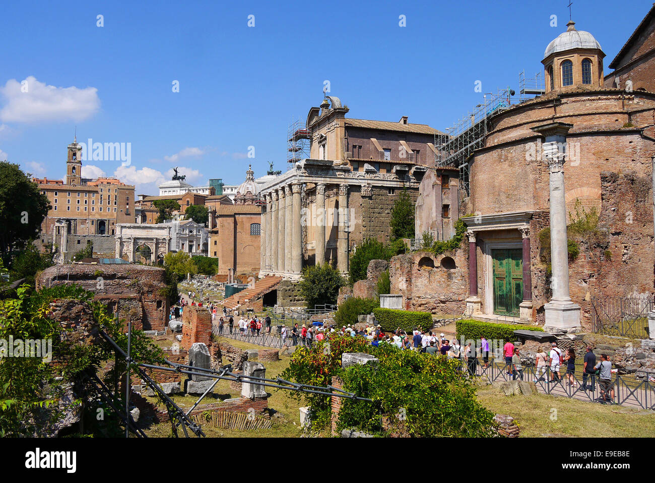 Le Forum de Rome, Italie. Banque D'Images