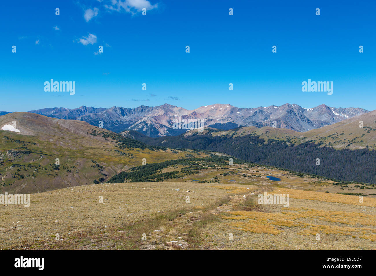 Gore vont de la Trail Ridge Road dans le Parc National des Montagnes Rocheuses au Colorado Banque D'Images