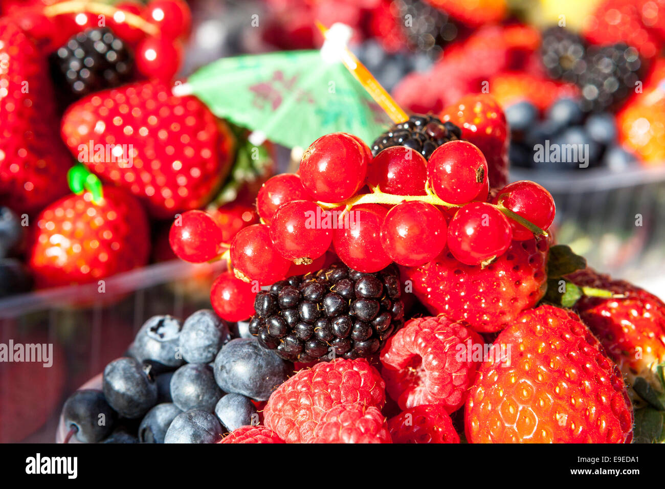 Fraises, bleuets gros plan fruits mélangés dans une boîte en plastique Banque D'Images