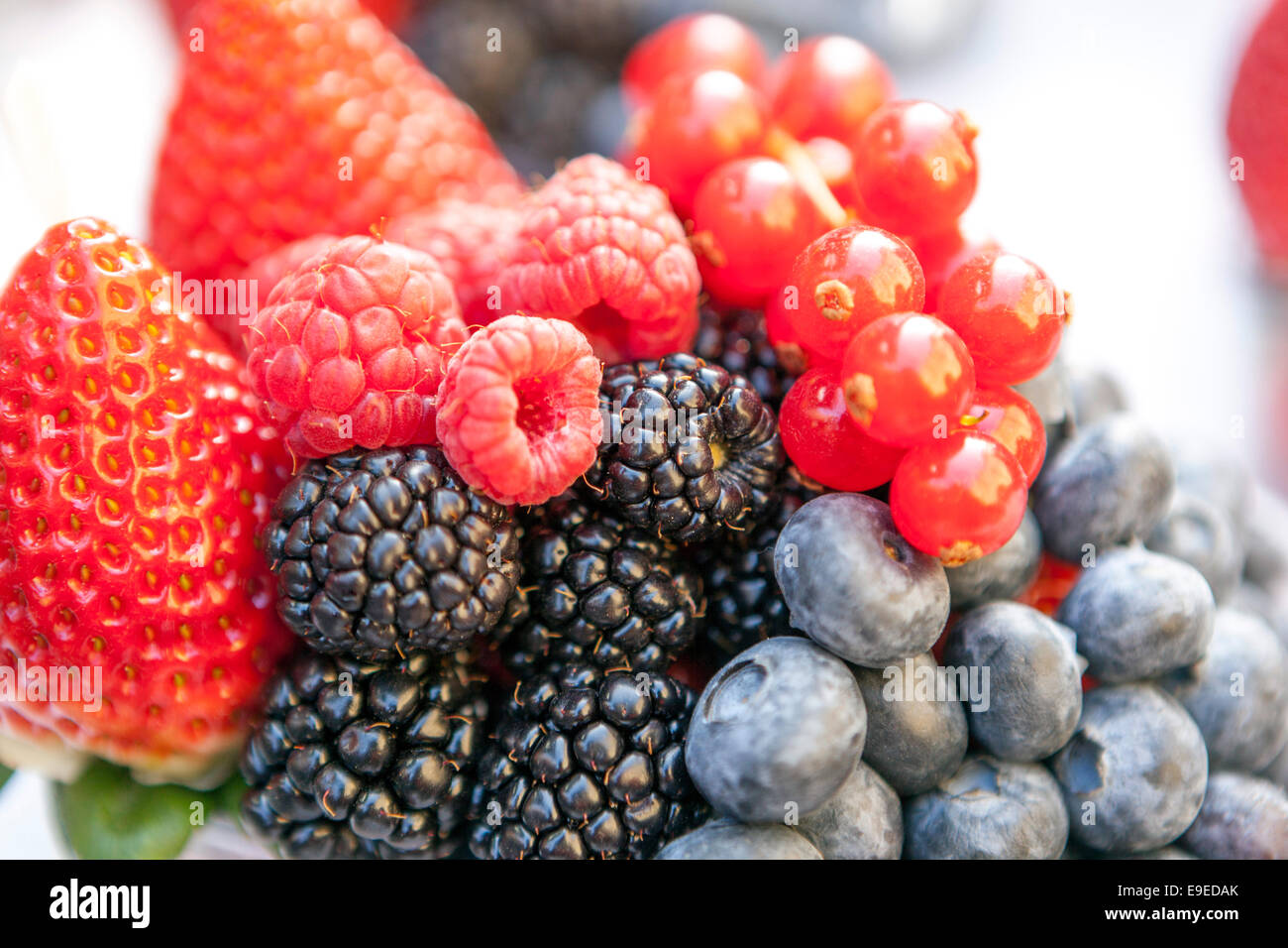 Gros plan mûres bleuets fraises framboises fruits texture baies savoureuses Banque D'Images