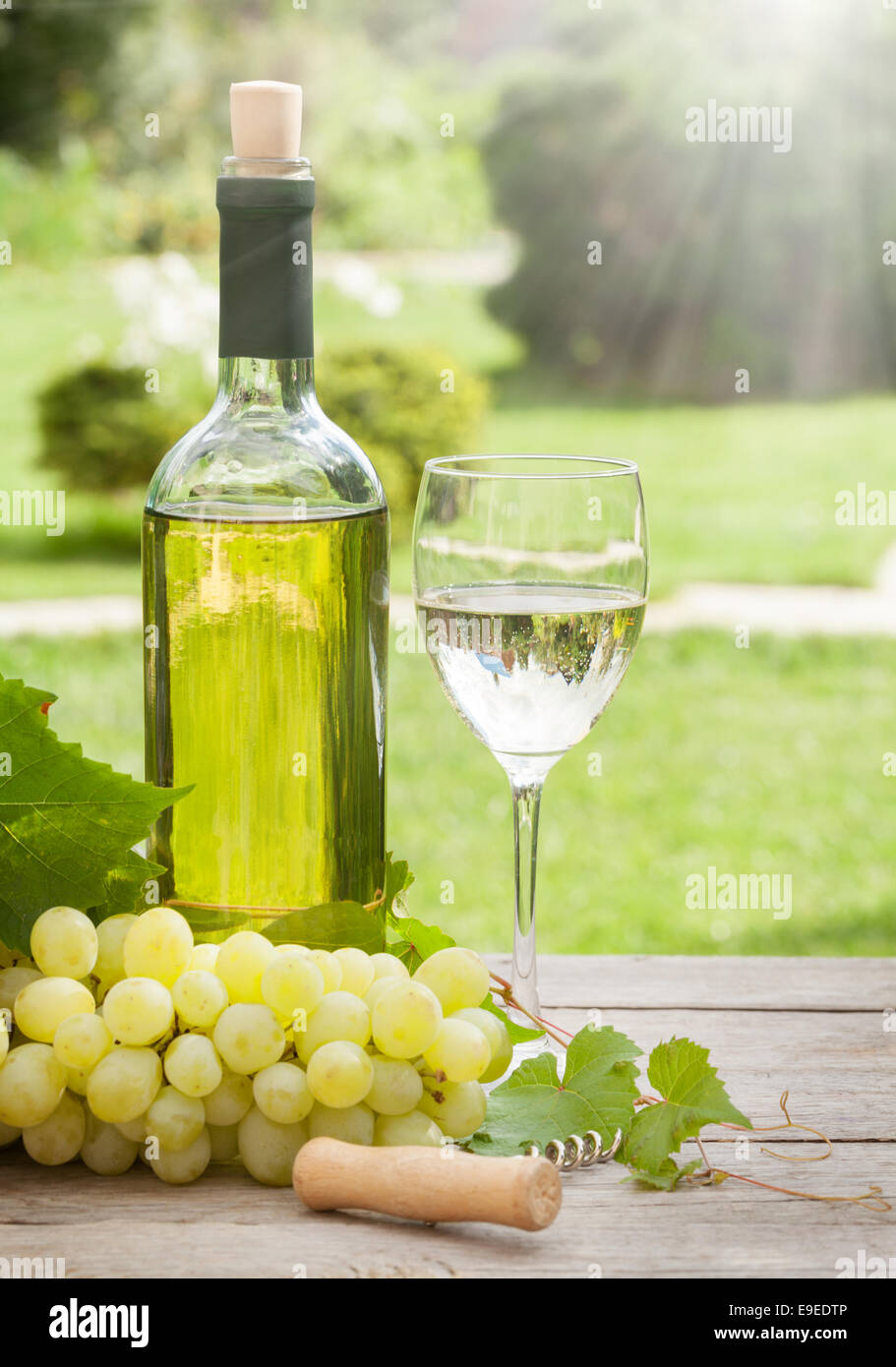 Verre de vin blanc et une bouteille avec grappe de raisin dans le jardin  ensoleillé Photo Stock - Alamy