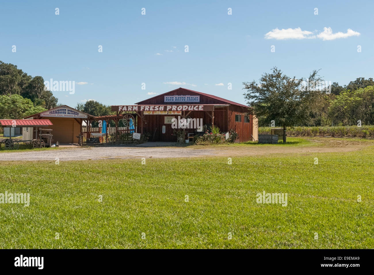 De Produits de la ferme du pays dans le comté de Lake, en Floride, USA Banque D'Images