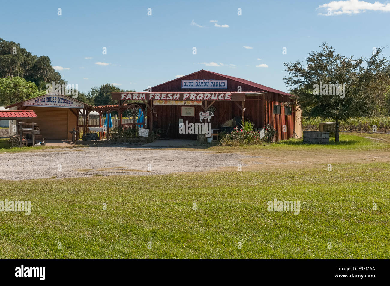 De Produits de la ferme du pays dans le comté de Lake, en Floride, USA Banque D'Images