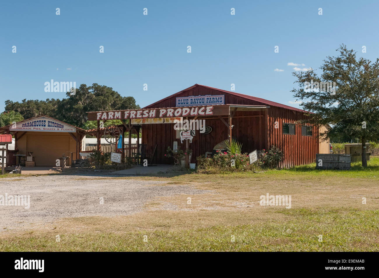 De Produits de la ferme du pays dans le comté de Lake, en Floride, USA Banque D'Images