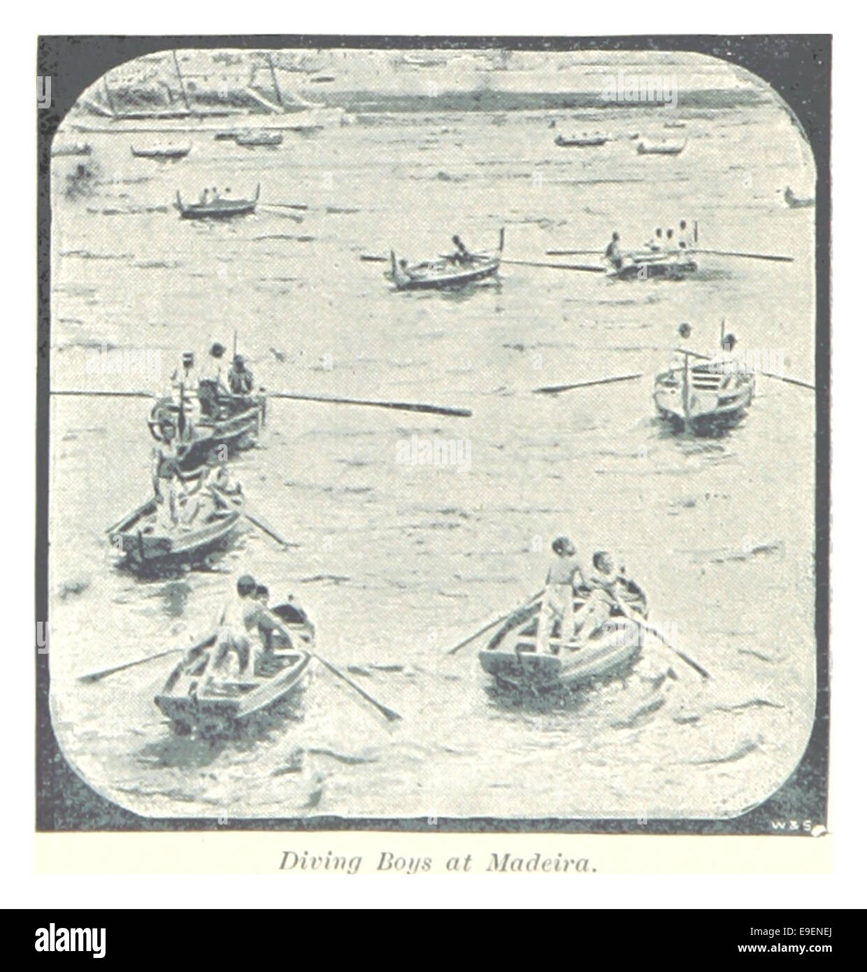 Cette illustration de 1896 représente des garçons plongeant au large des côtes de Madère, mettant en évidence la pratique de la plongée pour les ressources marines dans la région. L'œuvre reflète la culture locale et les activités maritimes de l'époque. Banque D'Images