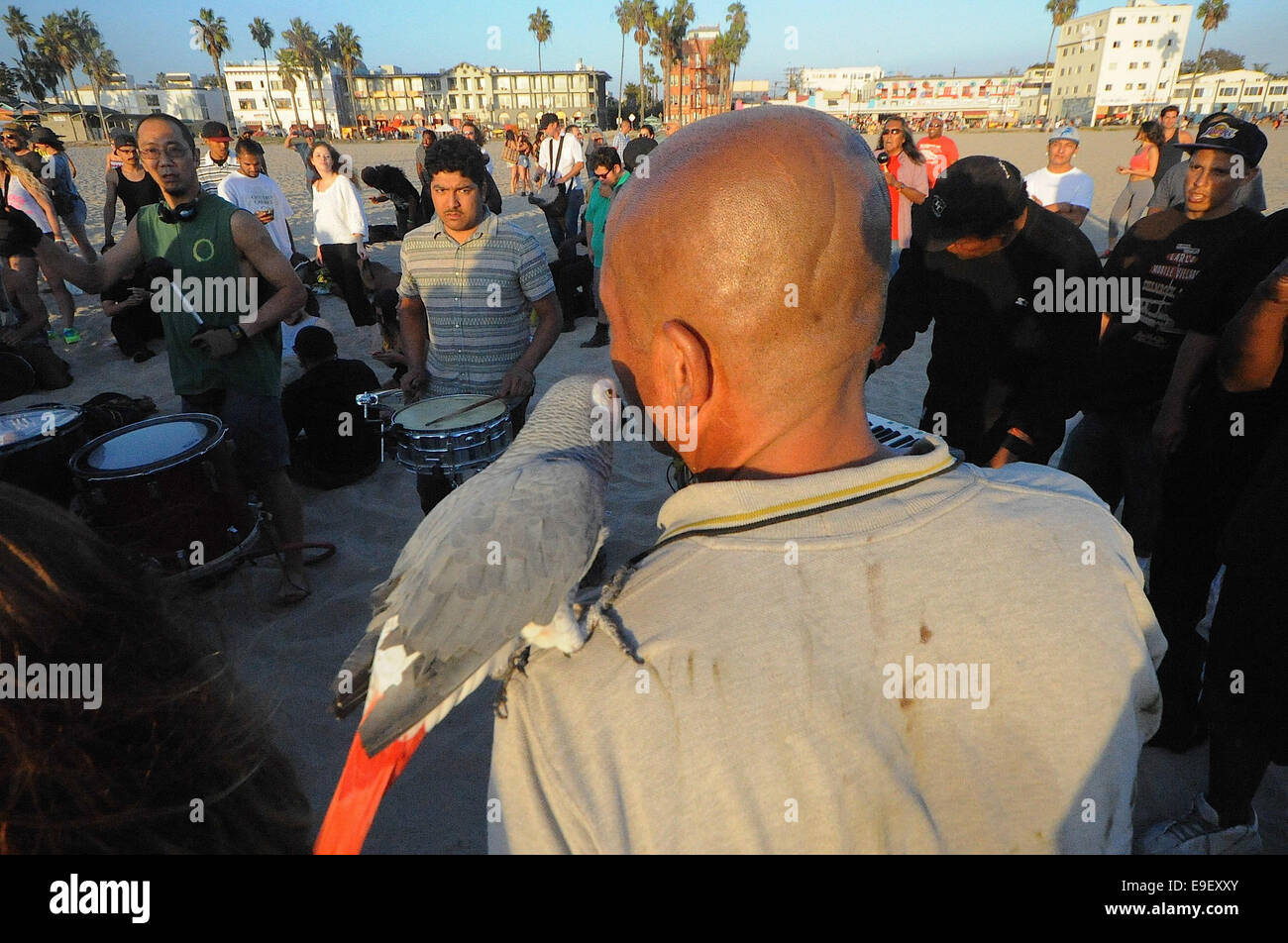 Los Angeles, USA. 27 Oct, 2014. Une communauté composée de certains des plus talentueux des trottoirs de Venice Beach et de personnages colorés de soleil hebdomadaire effectue des cercles de tambours. Aujourd'hui, les touristes affluent pour voir le week-end événement. La sécheresse difficile n'a fait qu'il est clair et plus beau coucher de soleil sur la côte les plus populaires. © Gail Orenstein/ZUMA/Alamy Fil Live News Banque D'Images