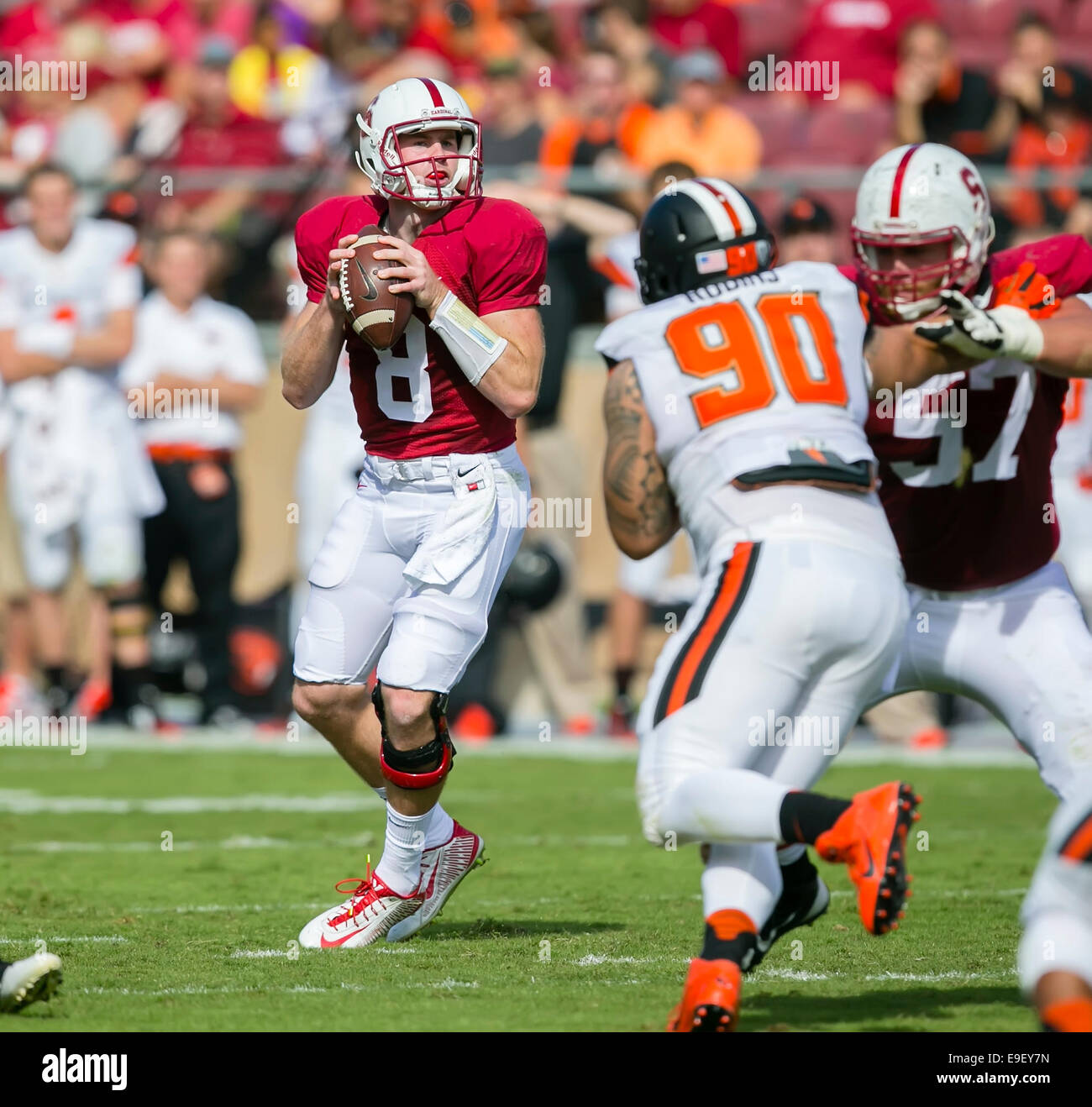 25 octobre 2014 : Stanford Cardinal quarterback Kevin Hogan (8) en action au cours de la NCAA Football match entre le Stanford Cardinal et l'Oregon State Beavers au stade de Stanford à Palo Alto, CA. Stanford a défait l'Oregon State 38-14. Damon Tarver/Cal Sport Media Banque D'Images