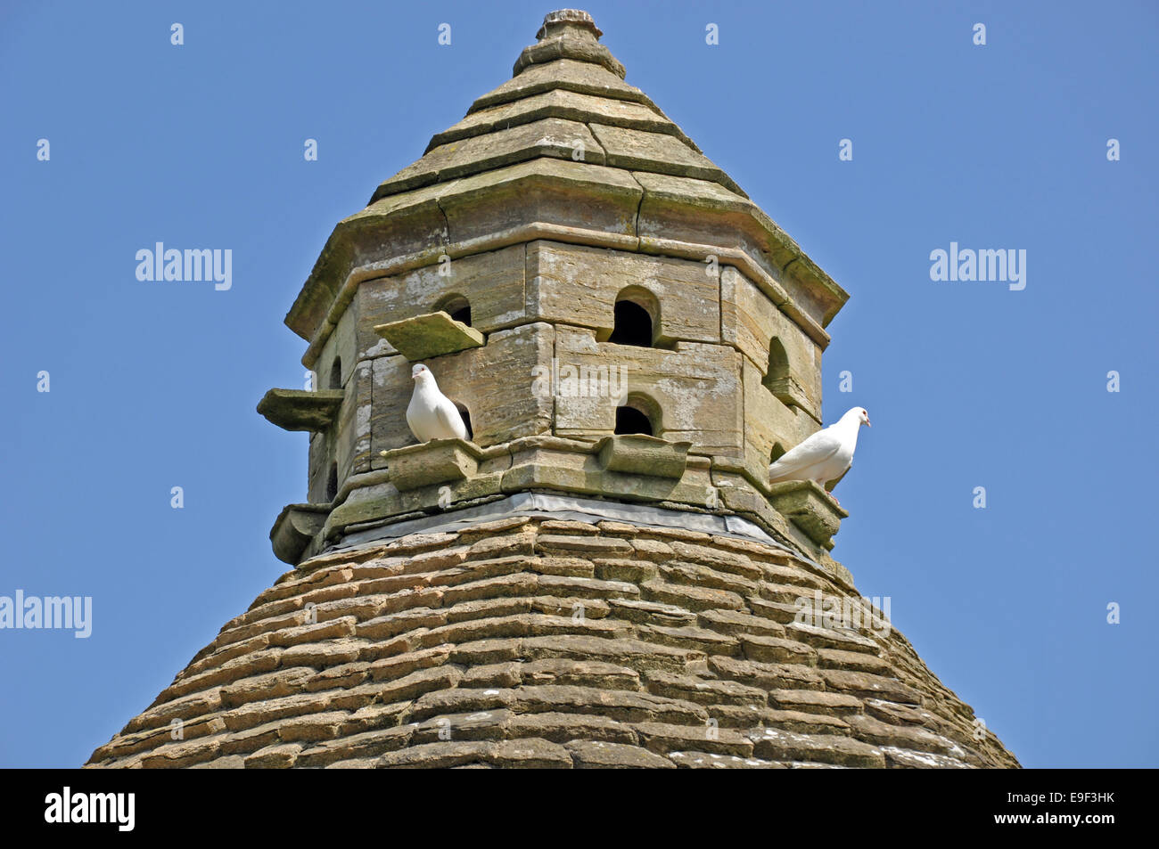 Une pierre et les tuiles dove cote avec deux pigeons blancs contre un ciel bleu clair, dans le West Sussex, Angleterre, Royaume-Uni. Banque D'Images Une pierre et les tuiles dove cote avec deux pigeons blancs contre un ciel bleu clair, dans le West Sussex, Angleterre, Royaume-Uni. Banque D'Images