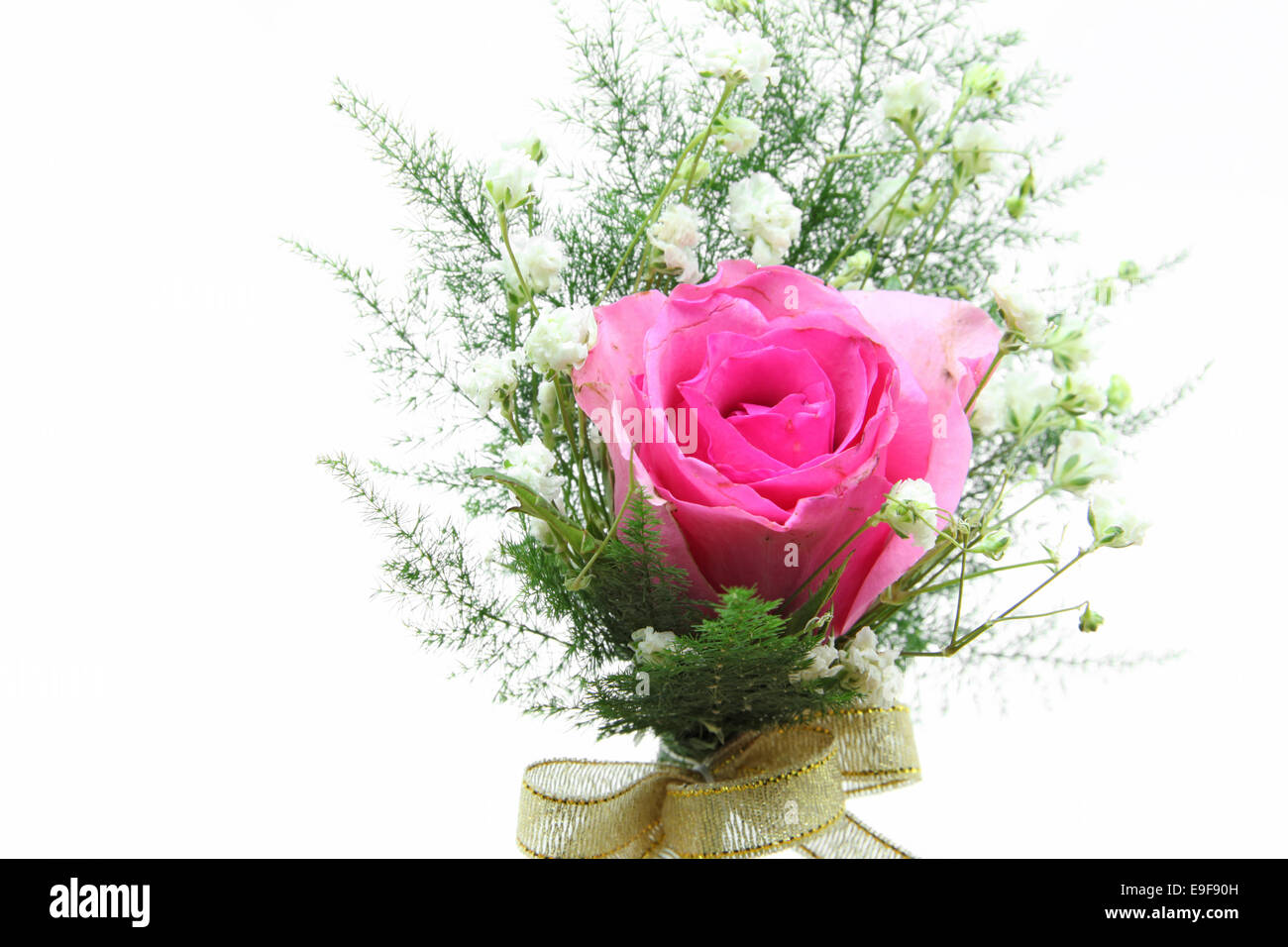 Corsage rose rose Banque D'Images