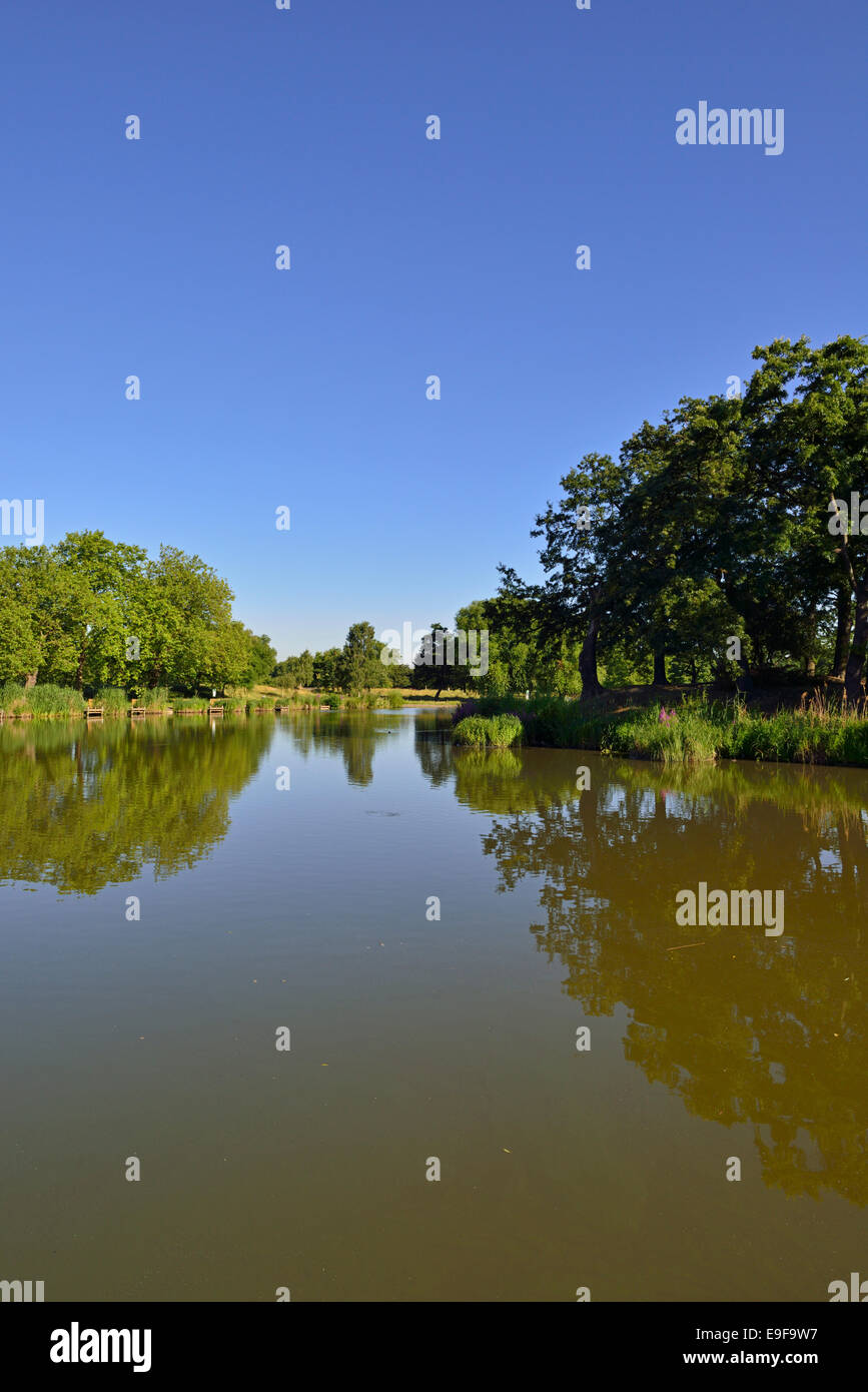 Étang de pêche, Clapham Common, London SW4, Royaume-Uni Banque D'Images