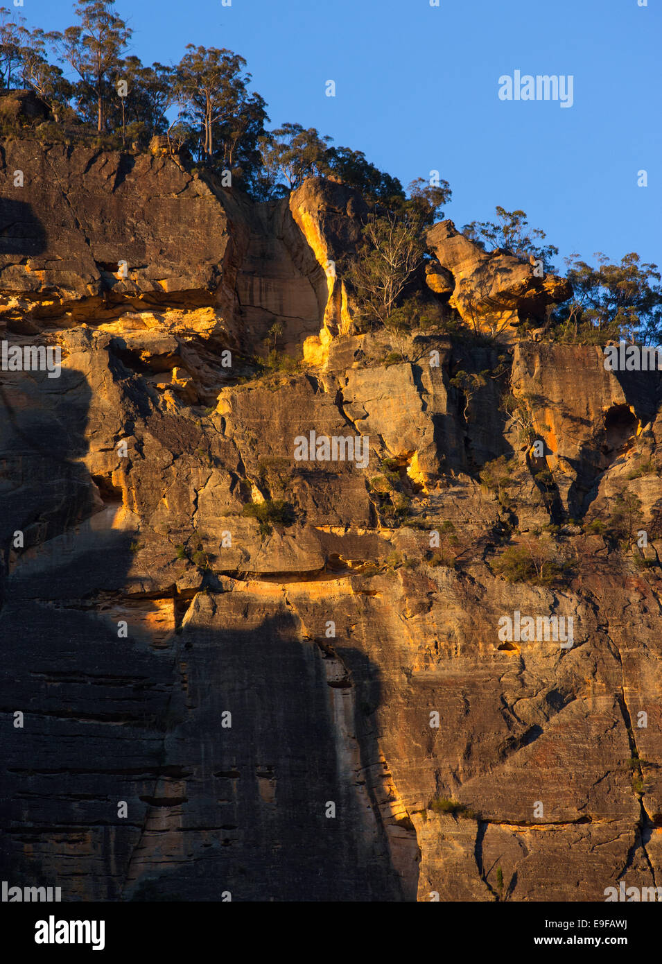 Falaises de grès robuste en fin d'après-midi chaud du soleil, du Parc National Wollemi, NSW, Australie Banque D'Images