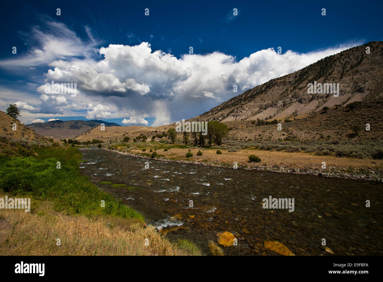 Près de l'endroit où l'ébullition fleuves se jettent dans la rivière Gardner, le Parc National de Yellowstone, Wyoming, à proximité du 45e parallèle, à mi-chemin entre Banque D'Images