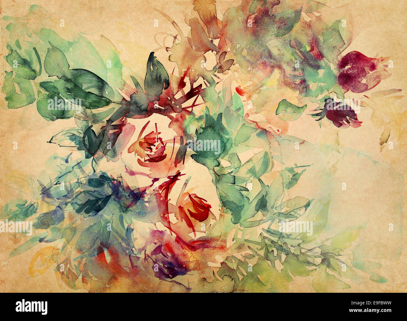 Aquarelle - roses peint Banque D'Images