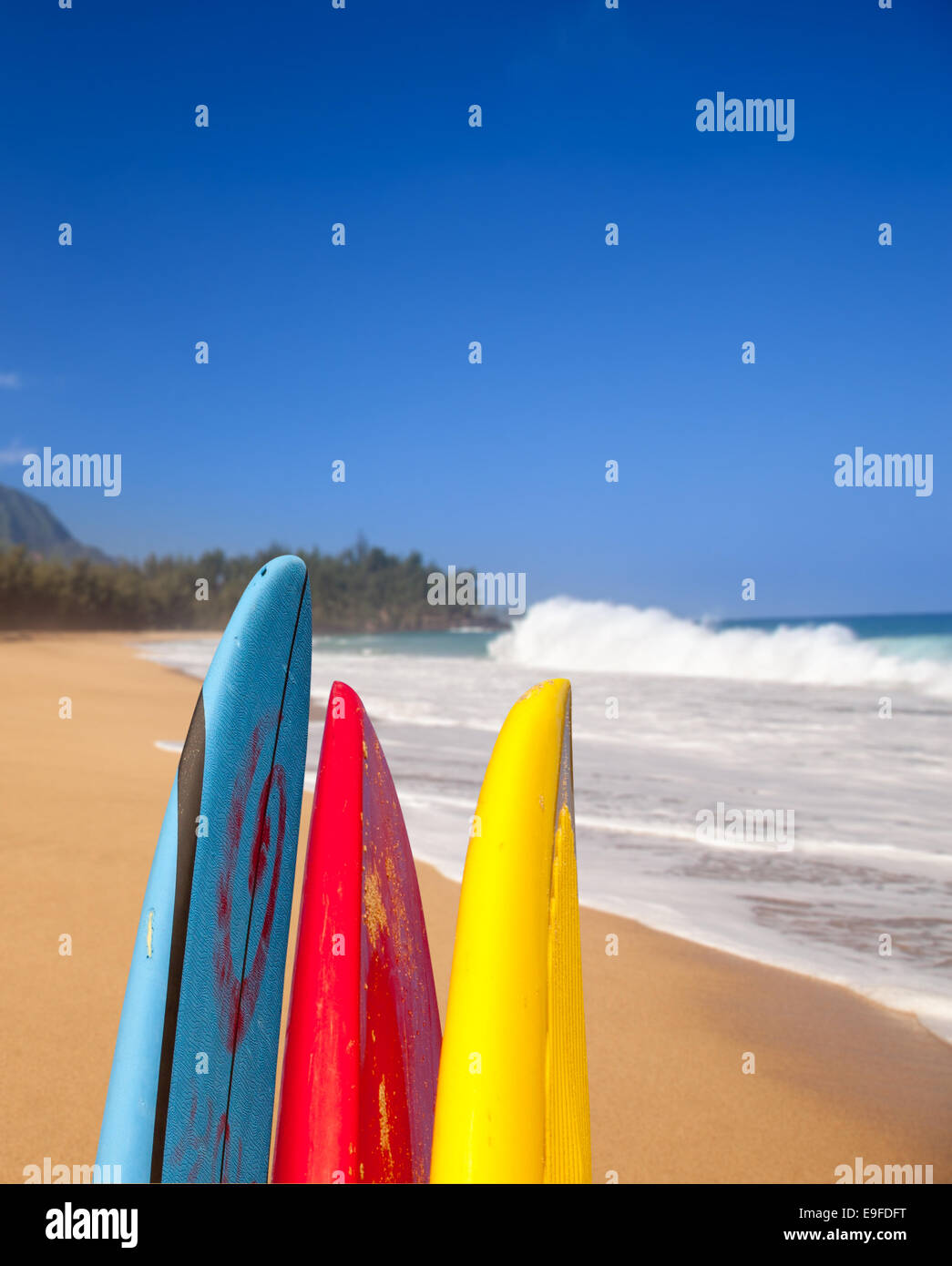 Lumahai beach Kauai à planches Banque D'Images